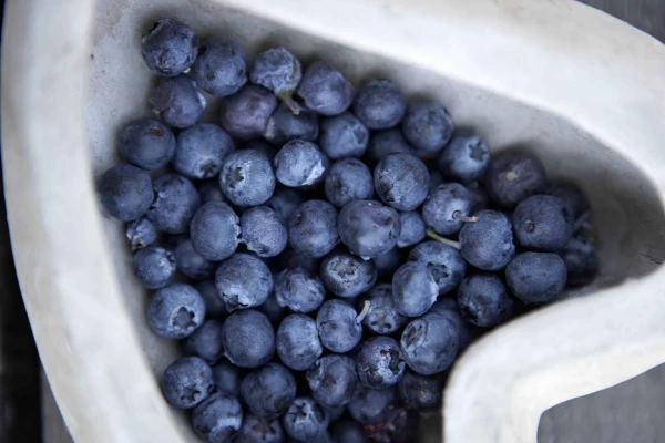 Blog – Voeding voor je huid